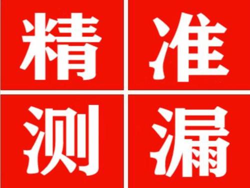鲁甸尚嘉漏水精准查找