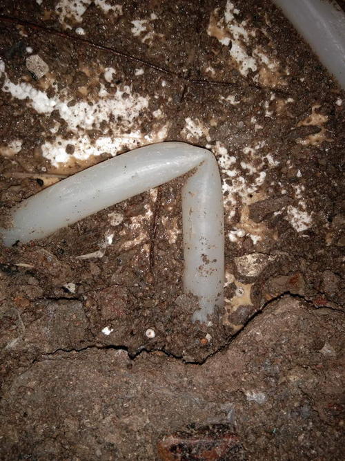 鲁甸堵点精准查找